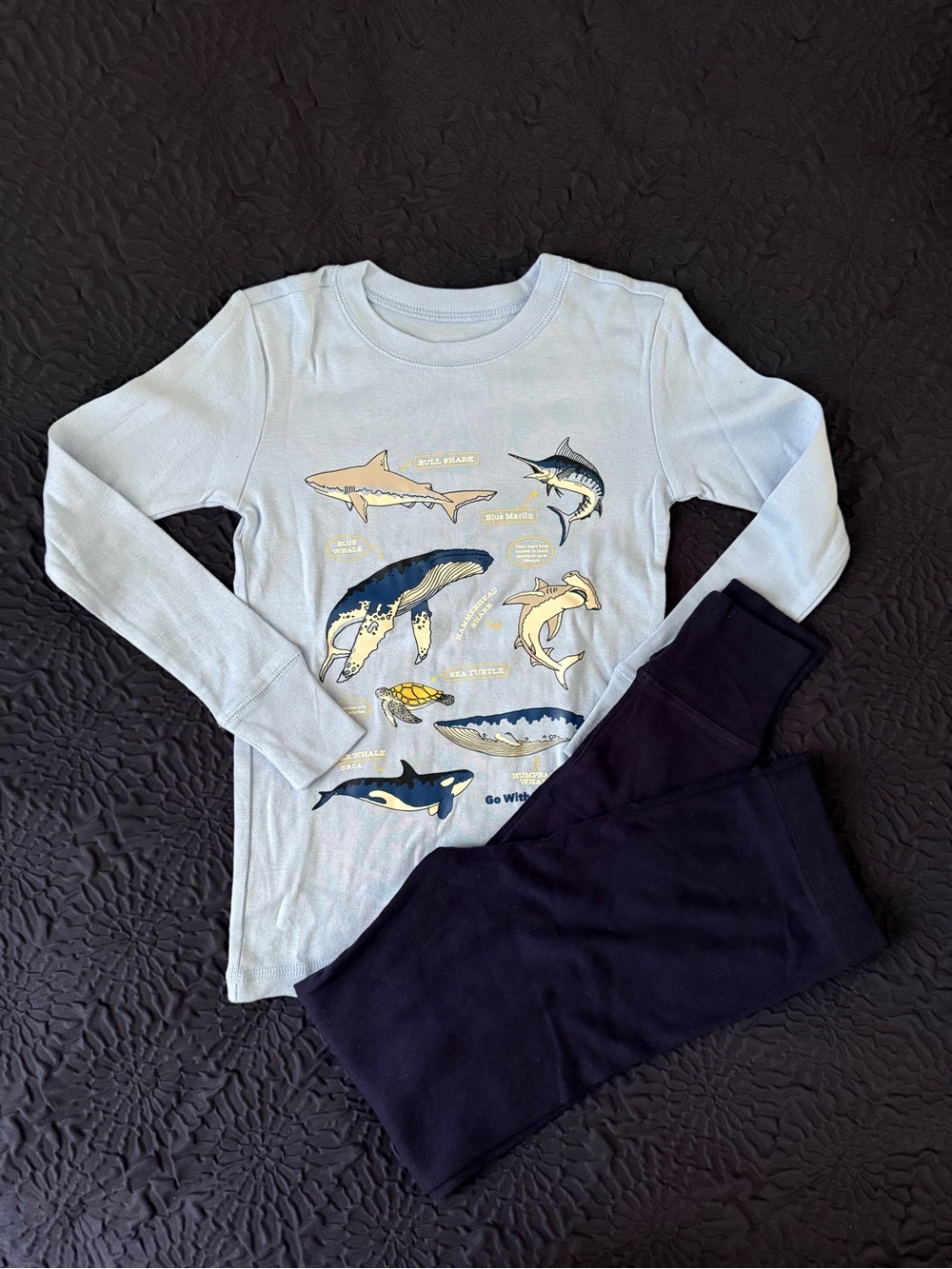GAP Boys Pajama Set Size 8
